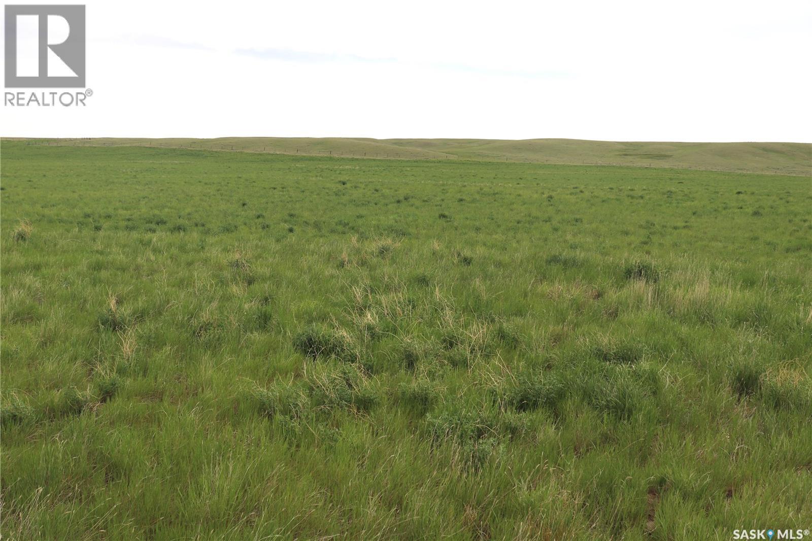 925 Acres Pasture Near Admiral, Wise Creek Rm No. 77, Saskatchewan S0N 0B0 - Photo 2 - SK038623