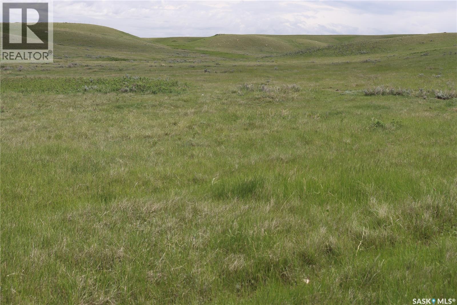 925 Acres Pasture Near Admiral, Wise Creek Rm No. 77, Saskatchewan S0N 0B0 - Photo 5 - SK038623