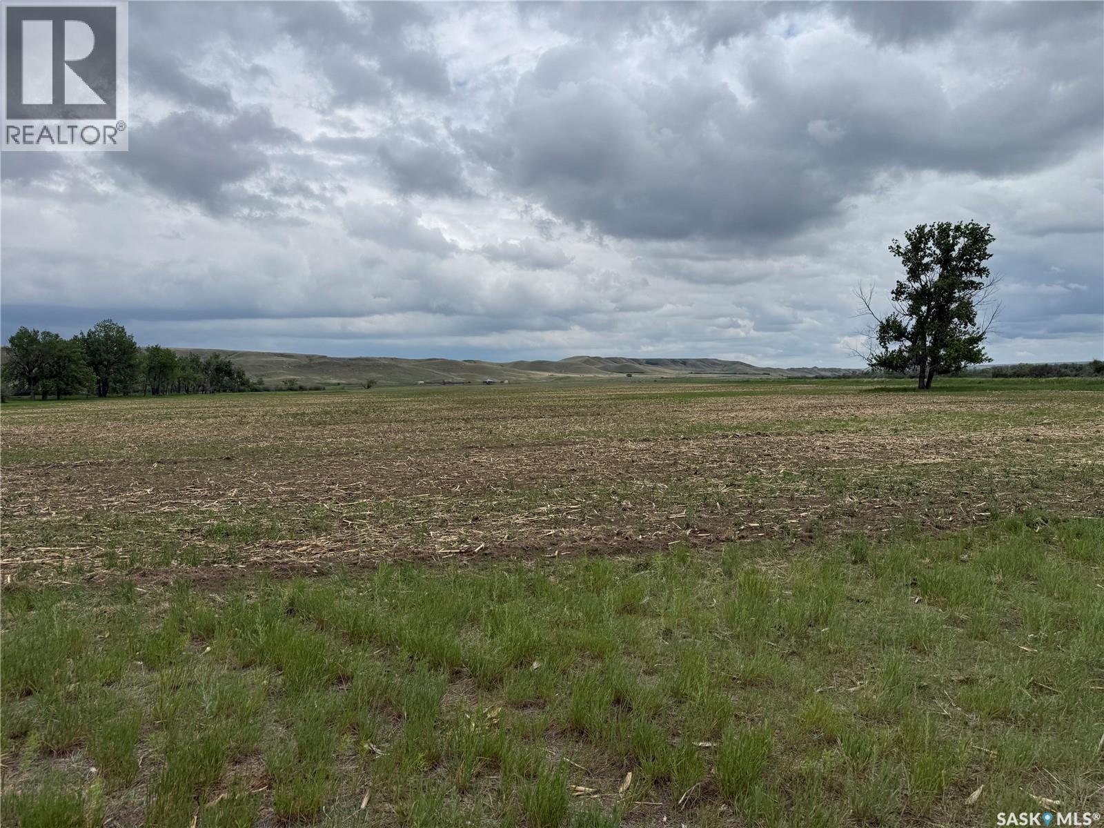Red Deer River Ranch, Chesterfield Rm No. 261, Saskatchewan S0N 1H0 - Photo 22 - SK039001