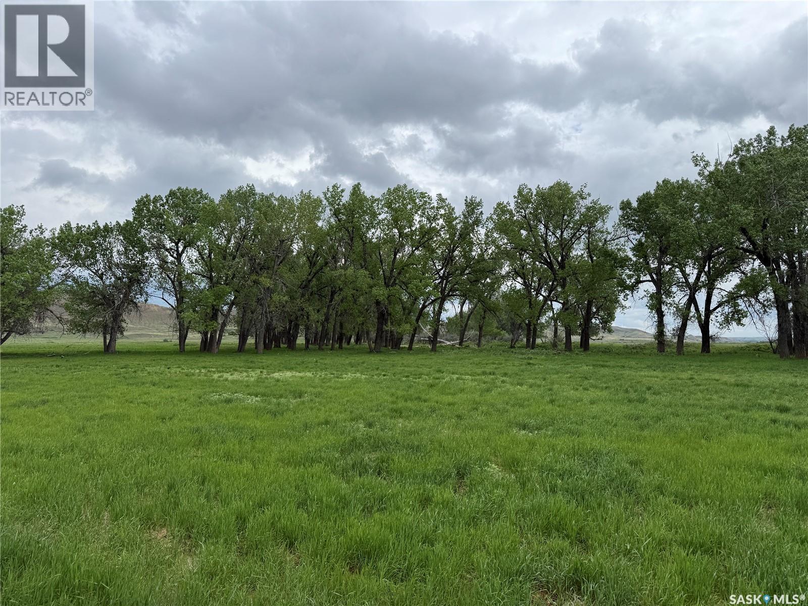 Red Deer River Ranch, Chesterfield Rm No. 261, Saskatchewan S0N 1H0 - Photo 23 - SK039001