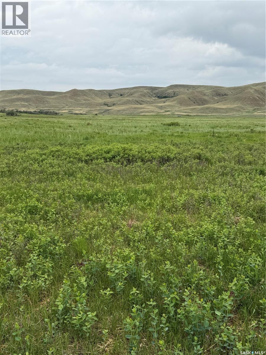 Red Deer River Ranch, Chesterfield Rm No. 261, Saskatchewan S0N 1H0 - Photo 31 - SK039001