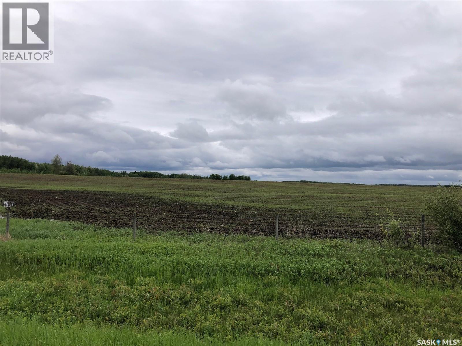Neustaeter Farm, Preeceville Rm No. 334, Saskatchewan S0A 0A2 - Photo 16 - SK040182