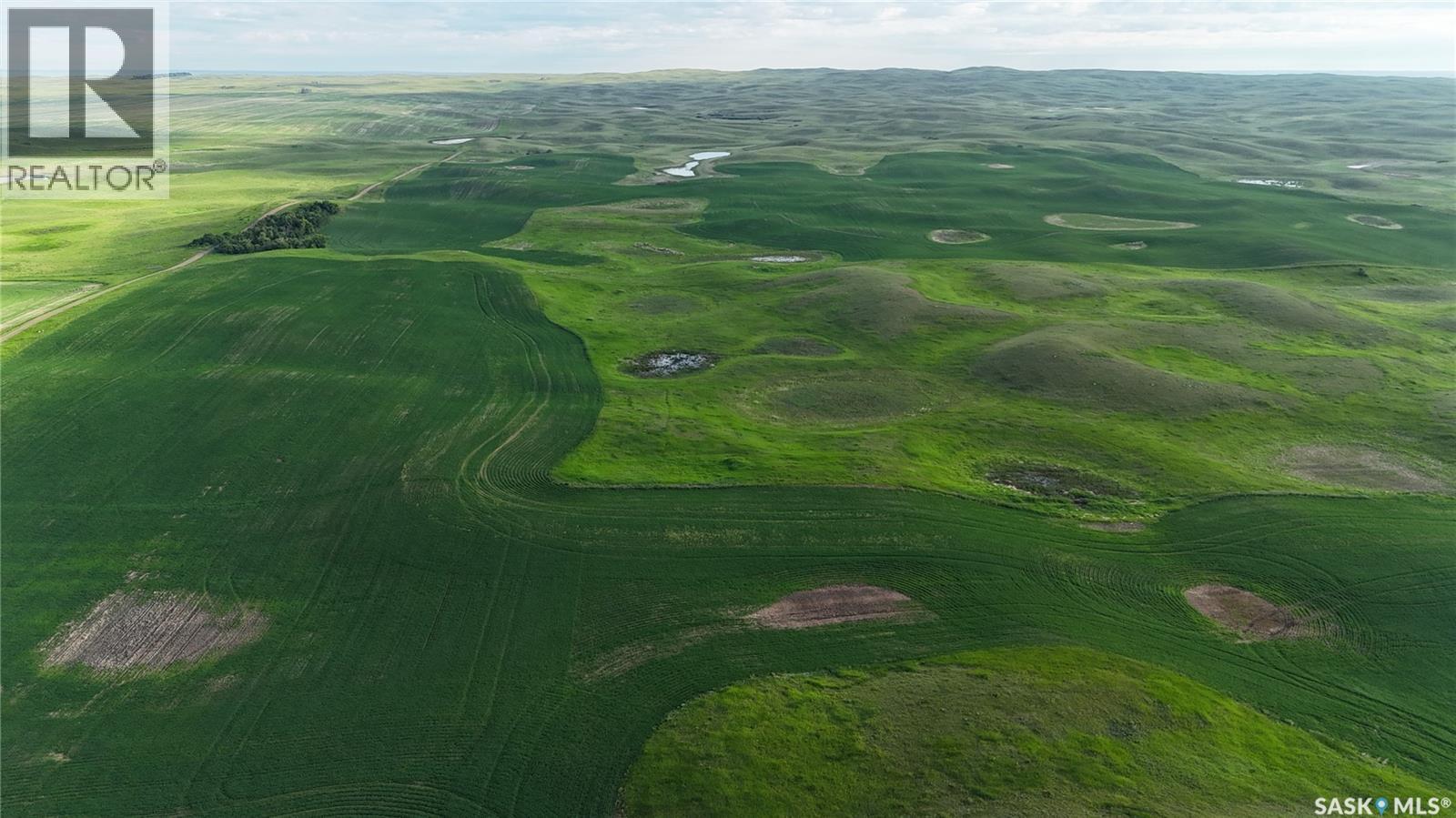 Leaman Farm, Chaplin Rm No. 164, Saskatchewan S0H 0V0 - Photo 7 - SK040227