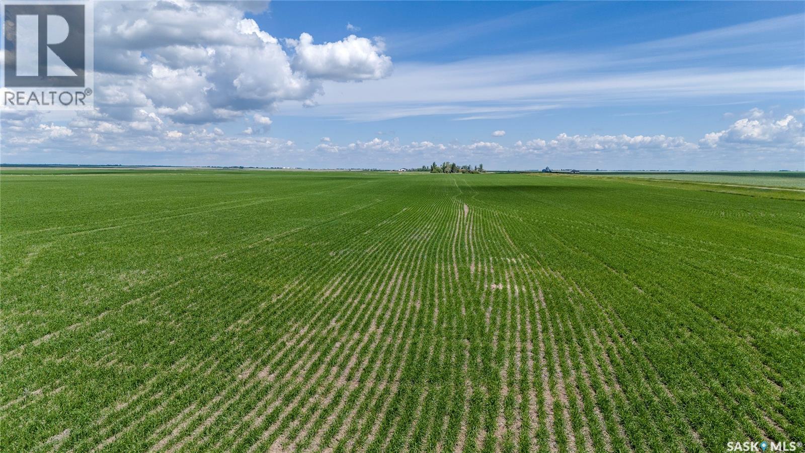 629 Deeded & 354 Crown Lease Acres Near Penzance, Sarnia Rm No. 221, Saskatchewan S0G 3X0 - Photo 10 - SK040524