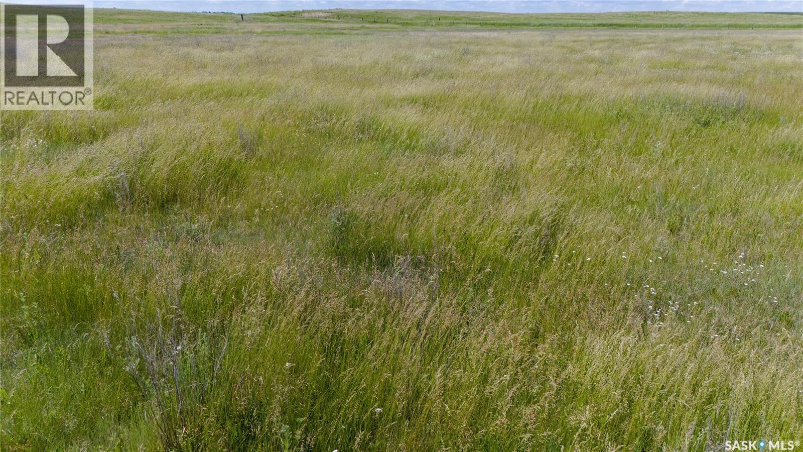 629 Deeded & 354 Crown Lease Acres Near Penzance, Sarnia Rm No. 221, Saskatchewan S0G 3X0 - Photo 18 - SK040524