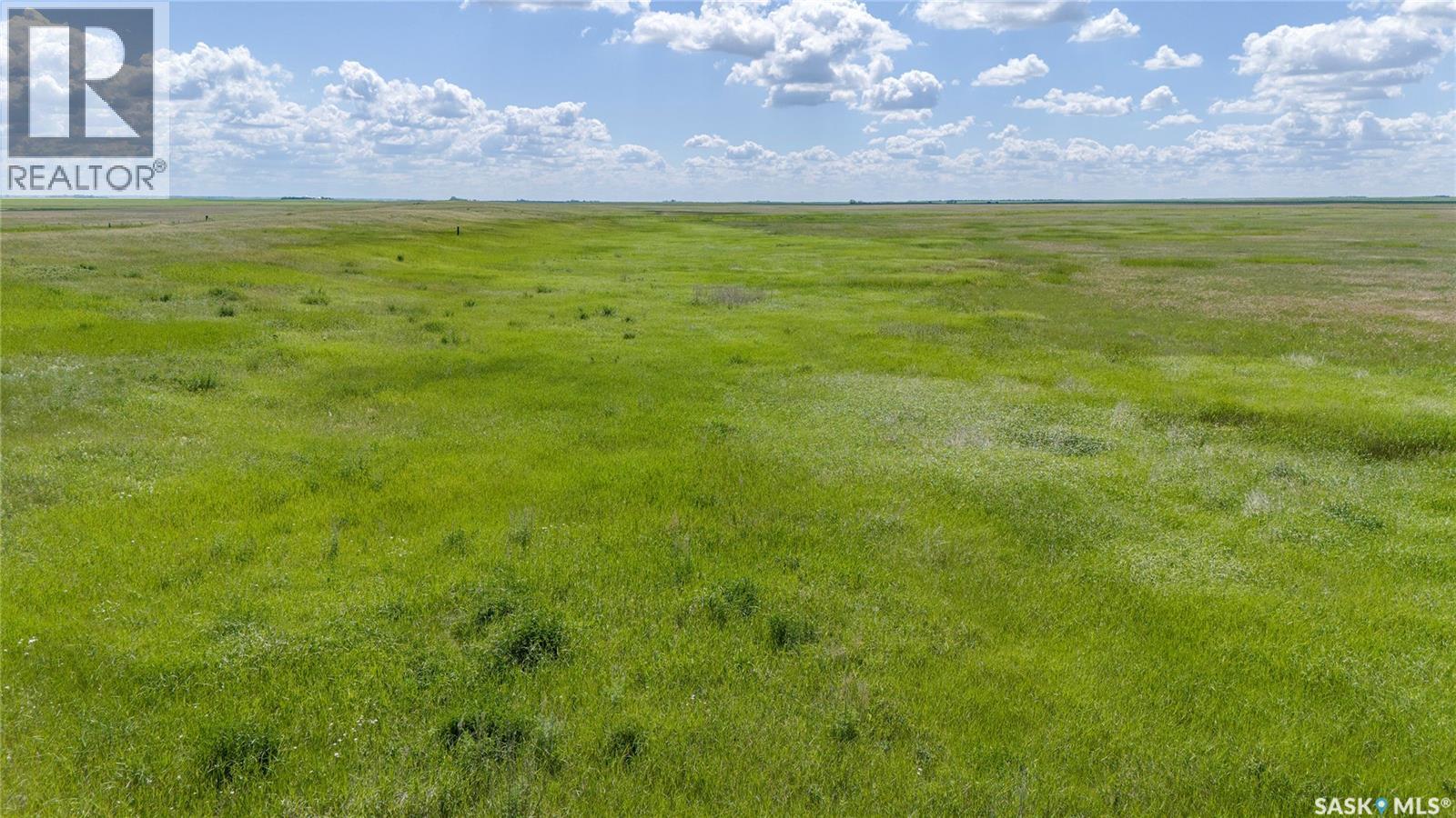 629 Deeded & 354 Crown Lease Acres Near Penzance, Sarnia Rm No. 221, Saskatchewan S0G 3X0 - Photo 22 - SK040524