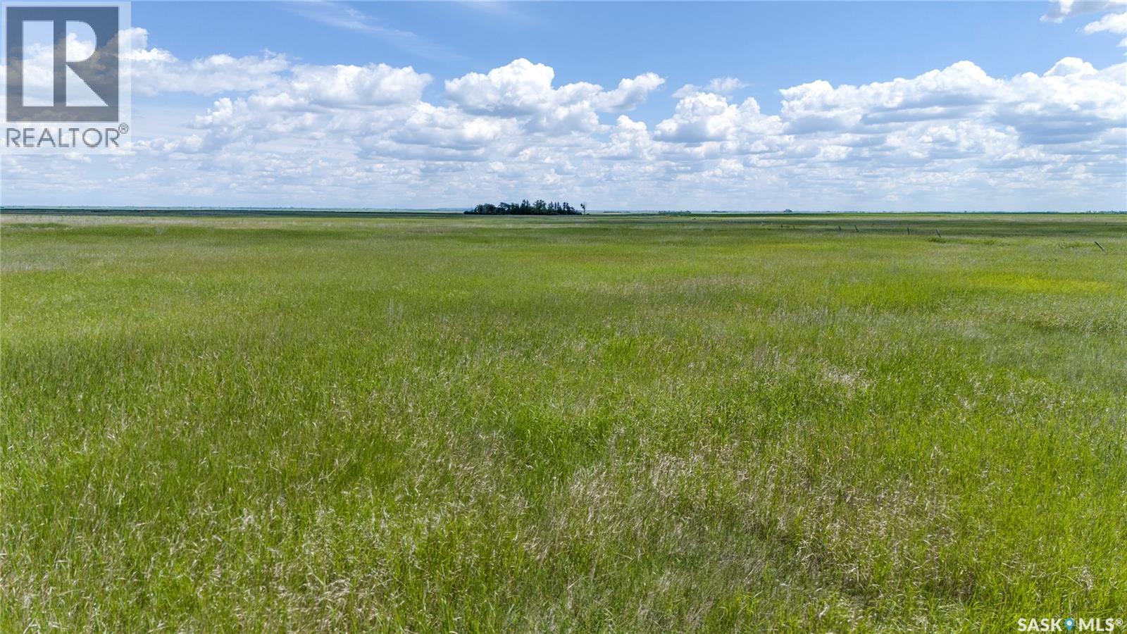 629 Deeded & 354 Crown Lease Acres Near Penzance, Sarnia Rm No. 221, Saskatchewan S0G 3X0 - Photo 27 - SK040524