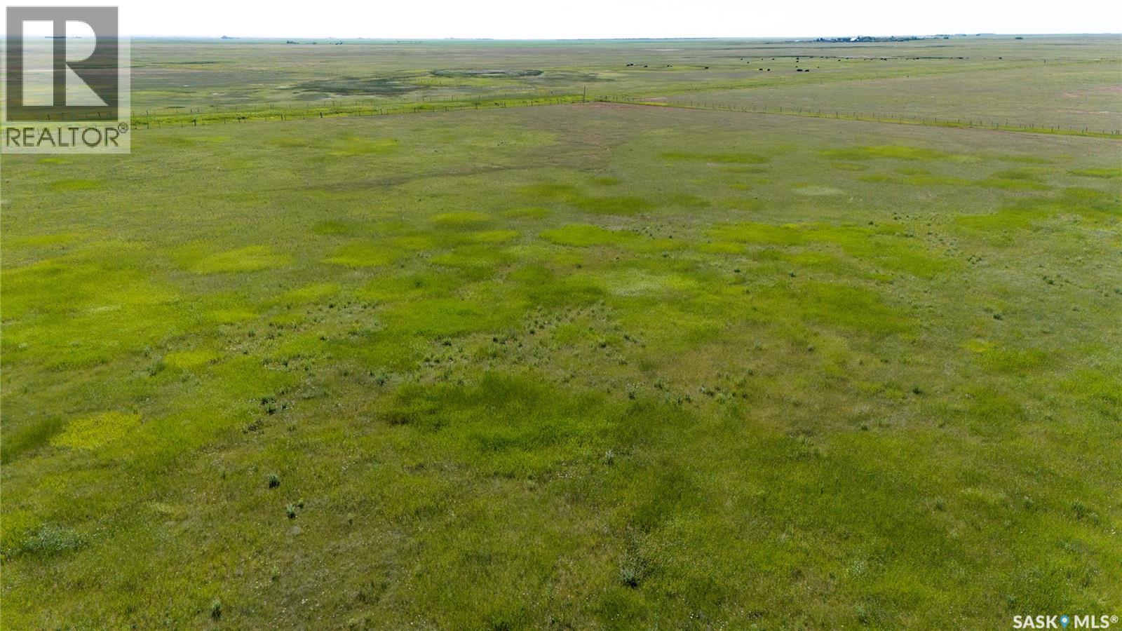 629 Deeded & 354 Crown Lease Acres Near Penzance, Sarnia Rm No. 221, Saskatchewan S0G 3X0 - Photo 9 - SK040524