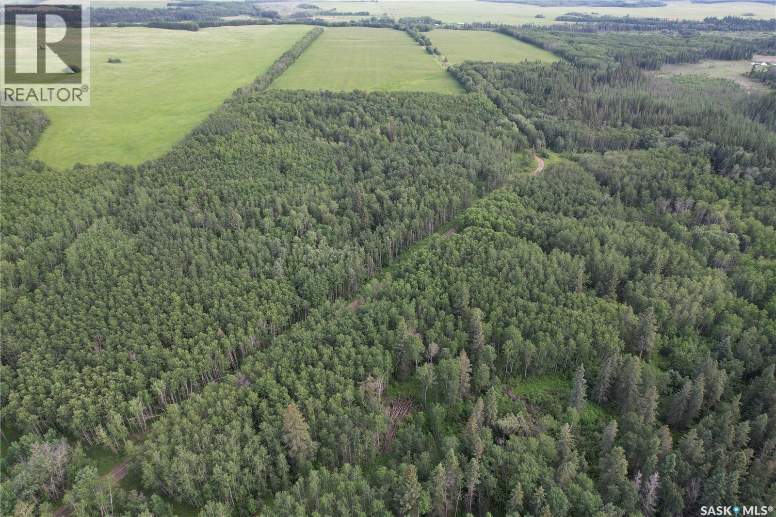 Canwood Rm Land, Canwood Rm No. 494, Saskatchewan S0J 0K0 - Photo 10 - SK040493