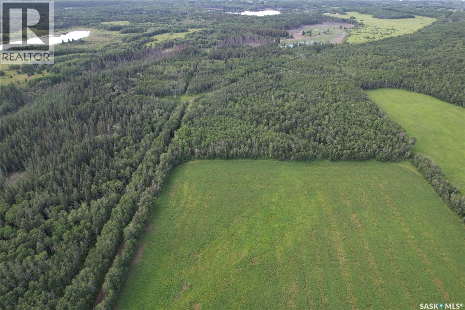 Canwood Rm Land, Canwood Rm No. 494, Saskatchewan S0J 0K0 - Photo 17 - SK040493