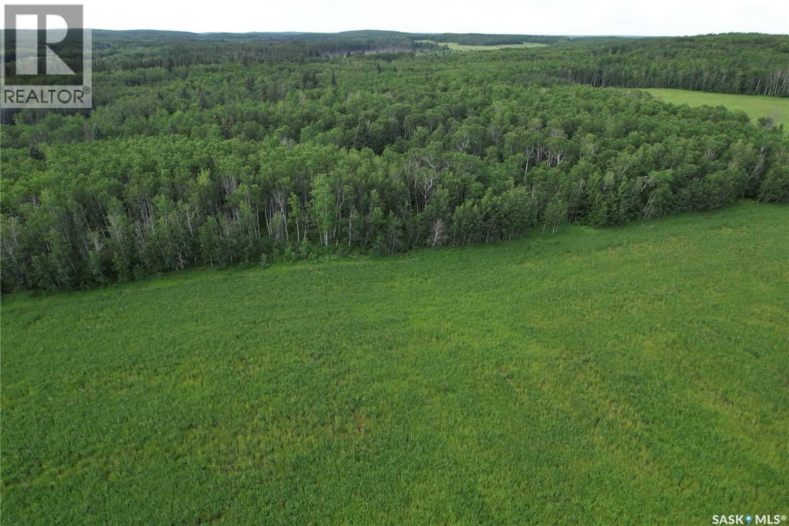 Canwood Rm Land, Canwood Rm No. 494, Saskatchewan S0J 0K0 - Photo 18 - SK040493