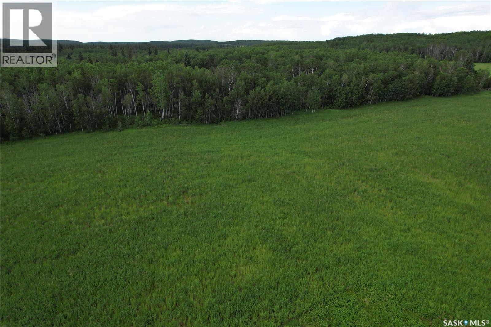 Canwood Rm Land, Canwood Rm No. 494, Saskatchewan S0J 0K0 - Photo 19 - SK040493