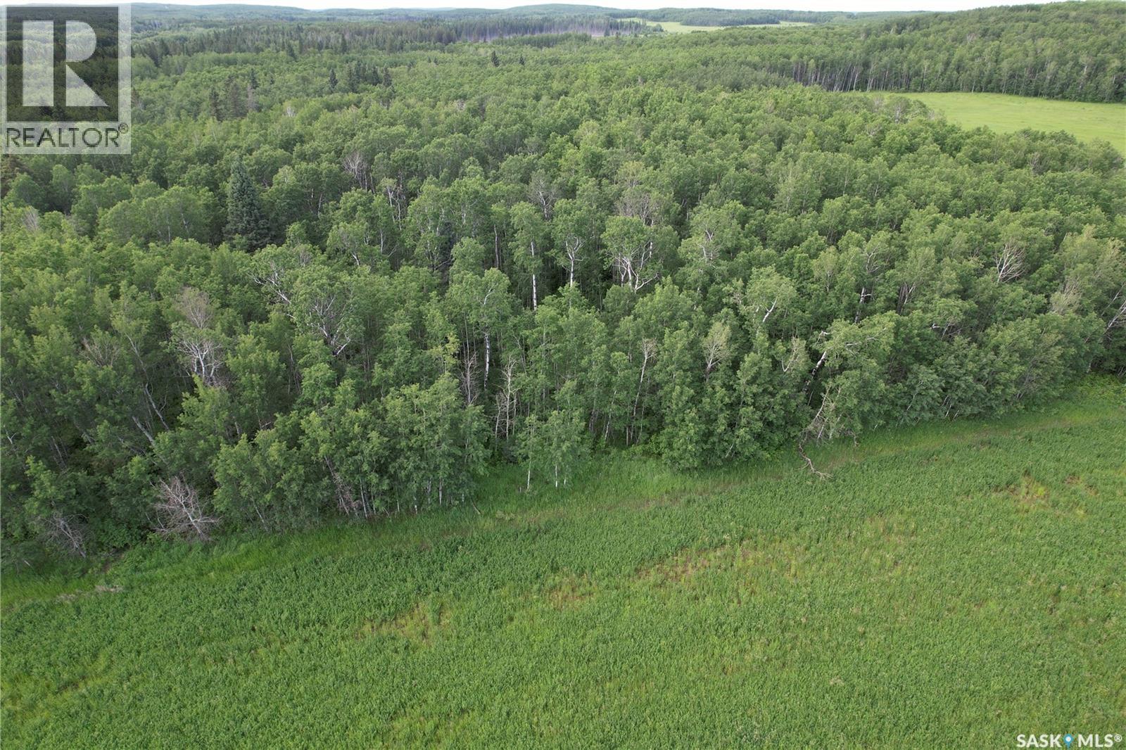 Canwood Rm Land, Canwood Rm No. 494, Saskatchewan S0J 0K0 - Photo 20 - SK040493