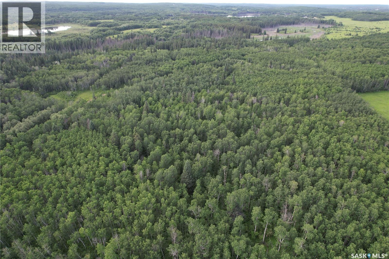 Canwood Rm Land, Canwood Rm No. 494, Saskatchewan S0J 0K0 - Photo 21 - SK040493
