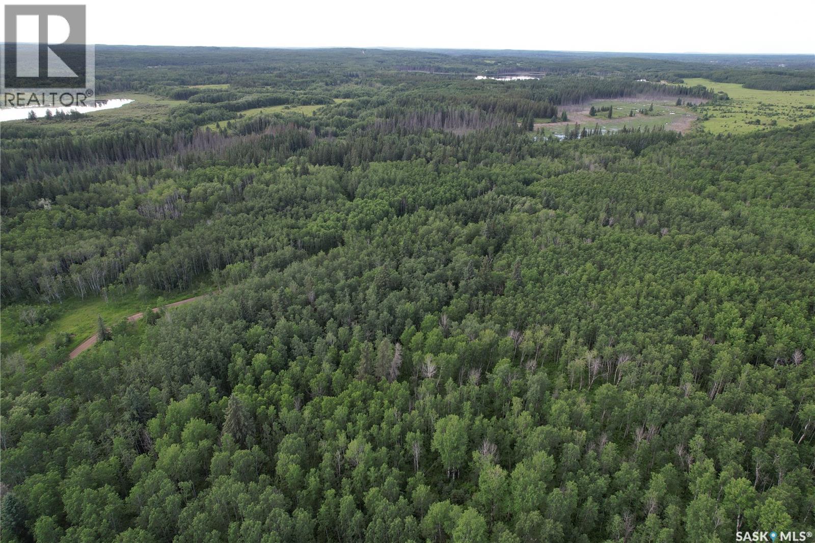 Canwood Rm Land, Canwood Rm No. 494, Saskatchewan S0J 0K0 - Photo 22 - SK040493