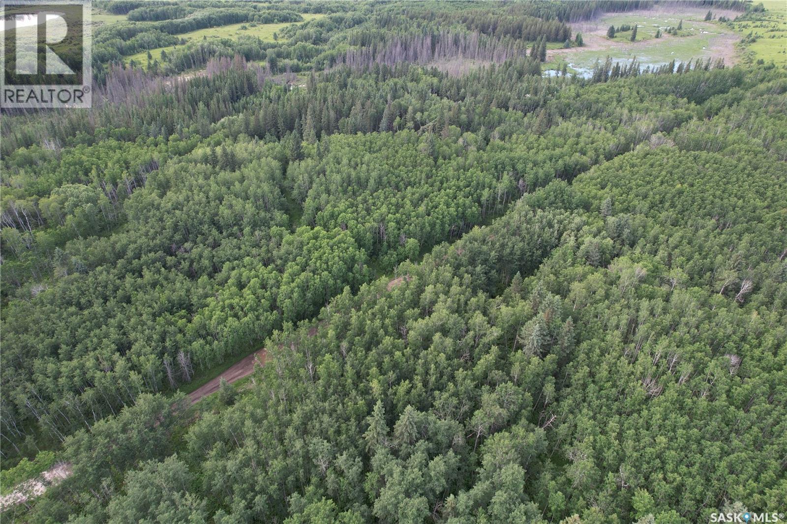 Canwood Rm Land, Canwood Rm No. 494, Saskatchewan S0J 0K0 - Photo 23 - SK040493
