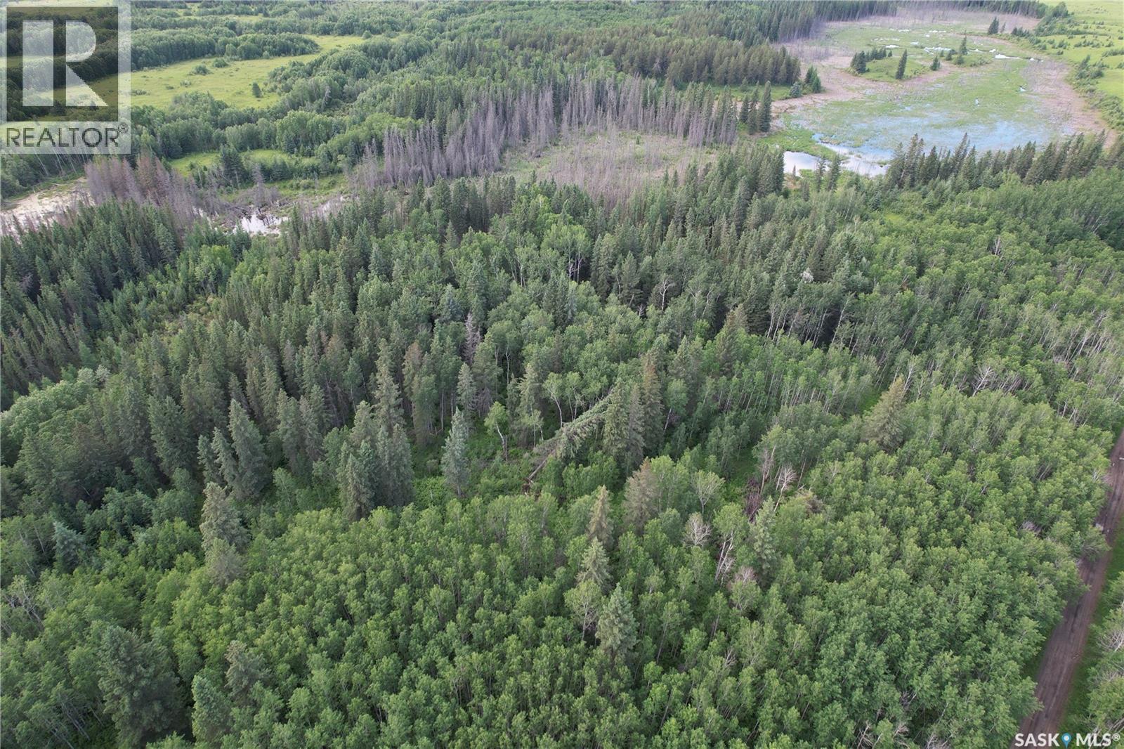 Canwood Rm Land, Canwood Rm No. 494, Saskatchewan S0J 0K0 - Photo 24 - SK040493