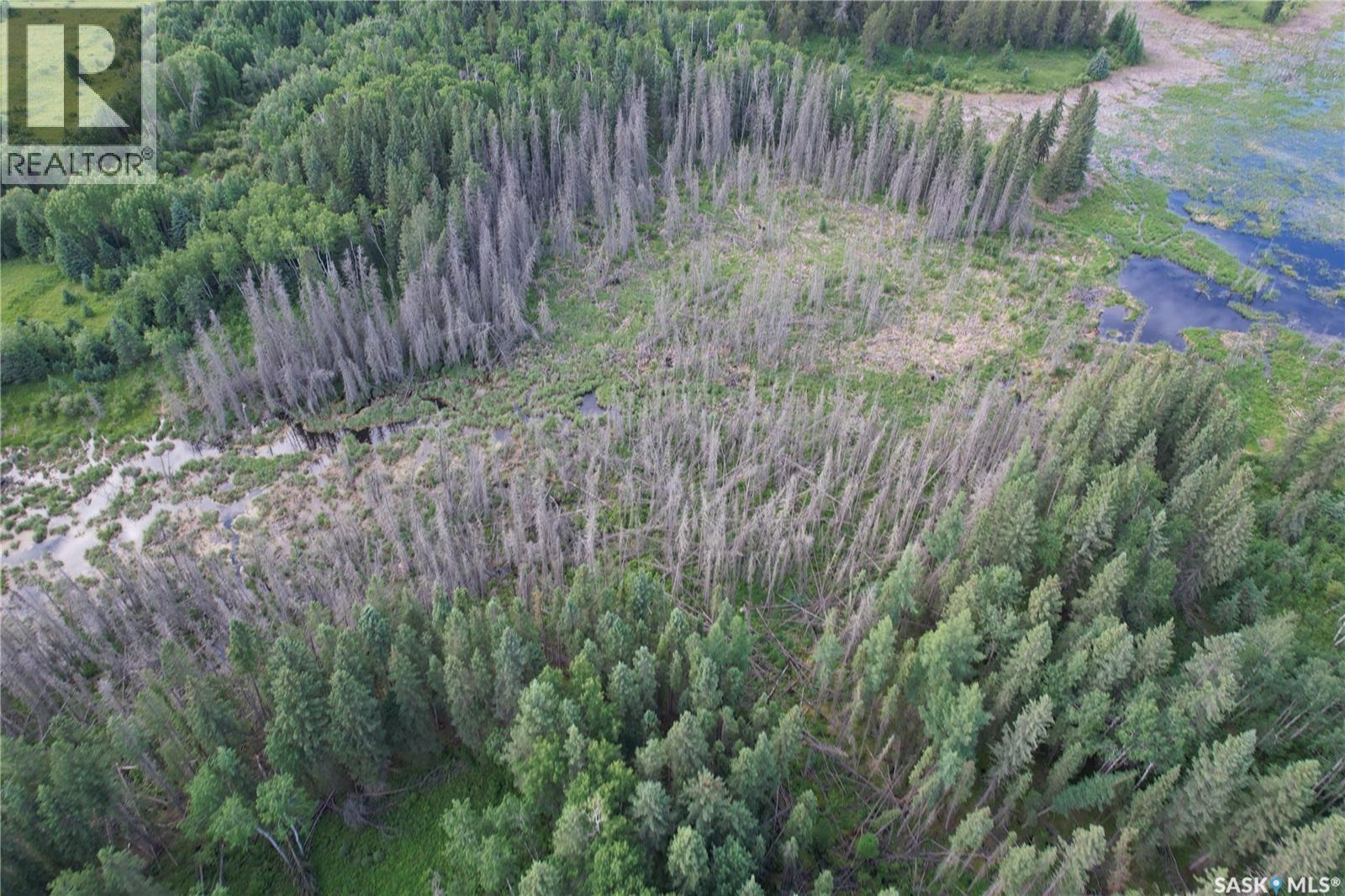 Canwood Rm Land, Canwood Rm No. 494, Saskatchewan S0J 0K0 - Photo 25 - SK040493
