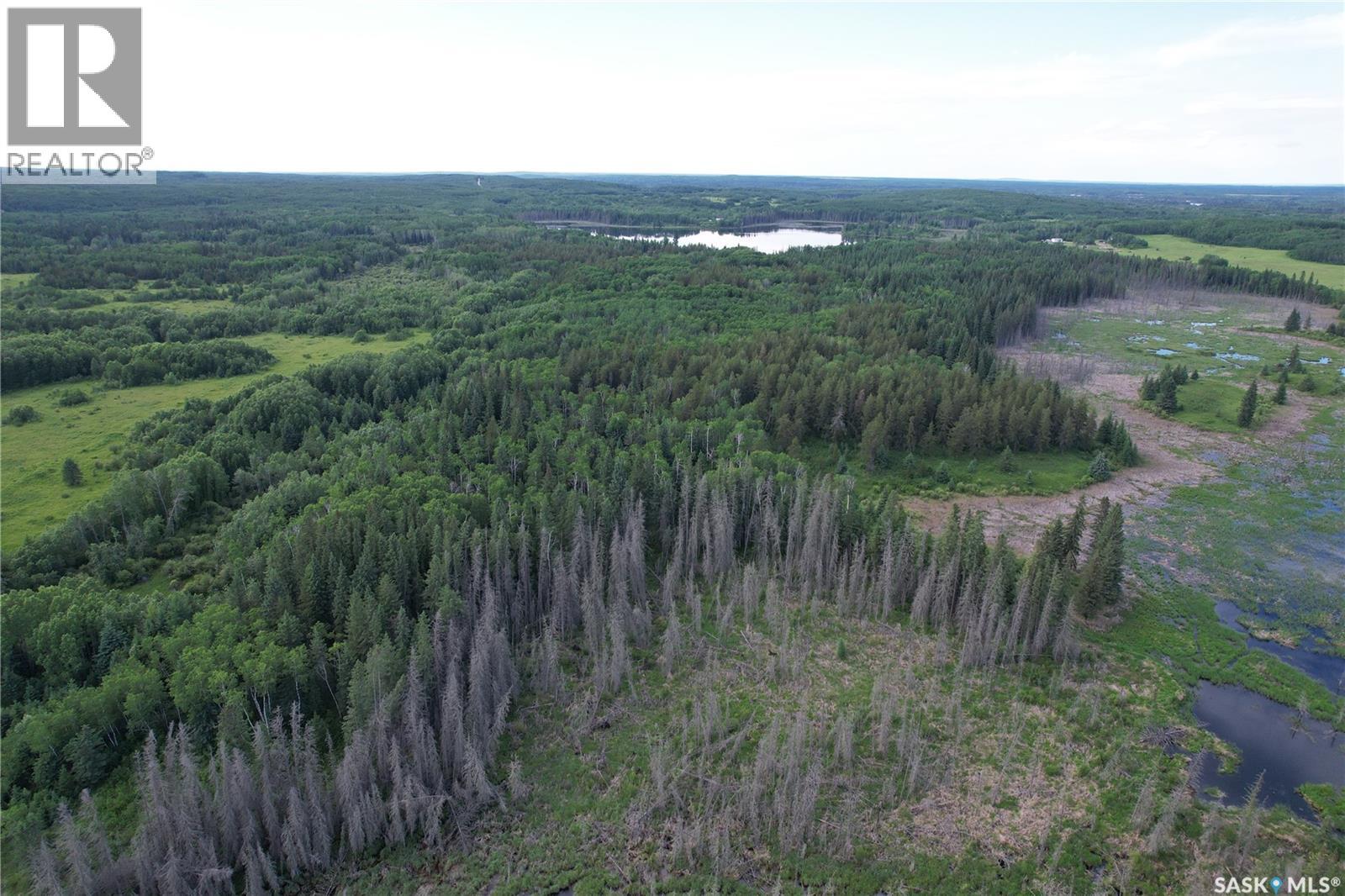 Canwood Rm Land, Canwood Rm No. 494, Saskatchewan S0J 0K0 - Photo 26 - SK040493