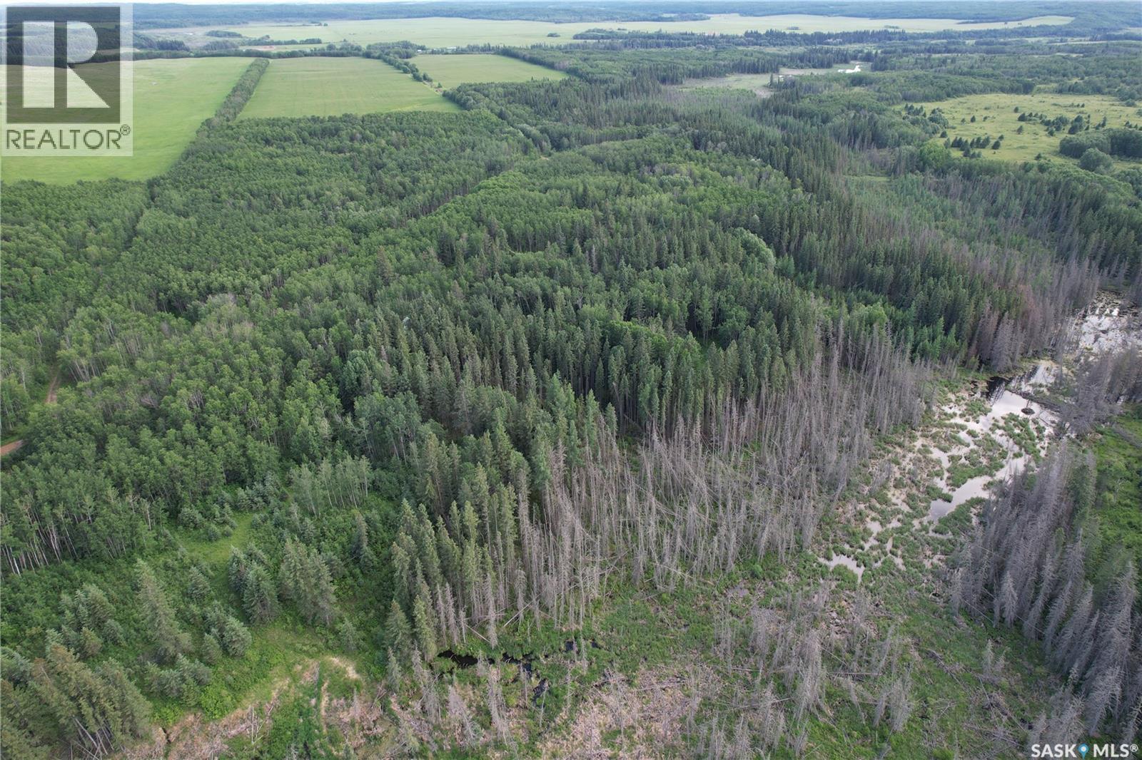 Canwood Rm Land, Canwood Rm No. 494, Saskatchewan S0J 0K0 - Photo 4 - SK040493