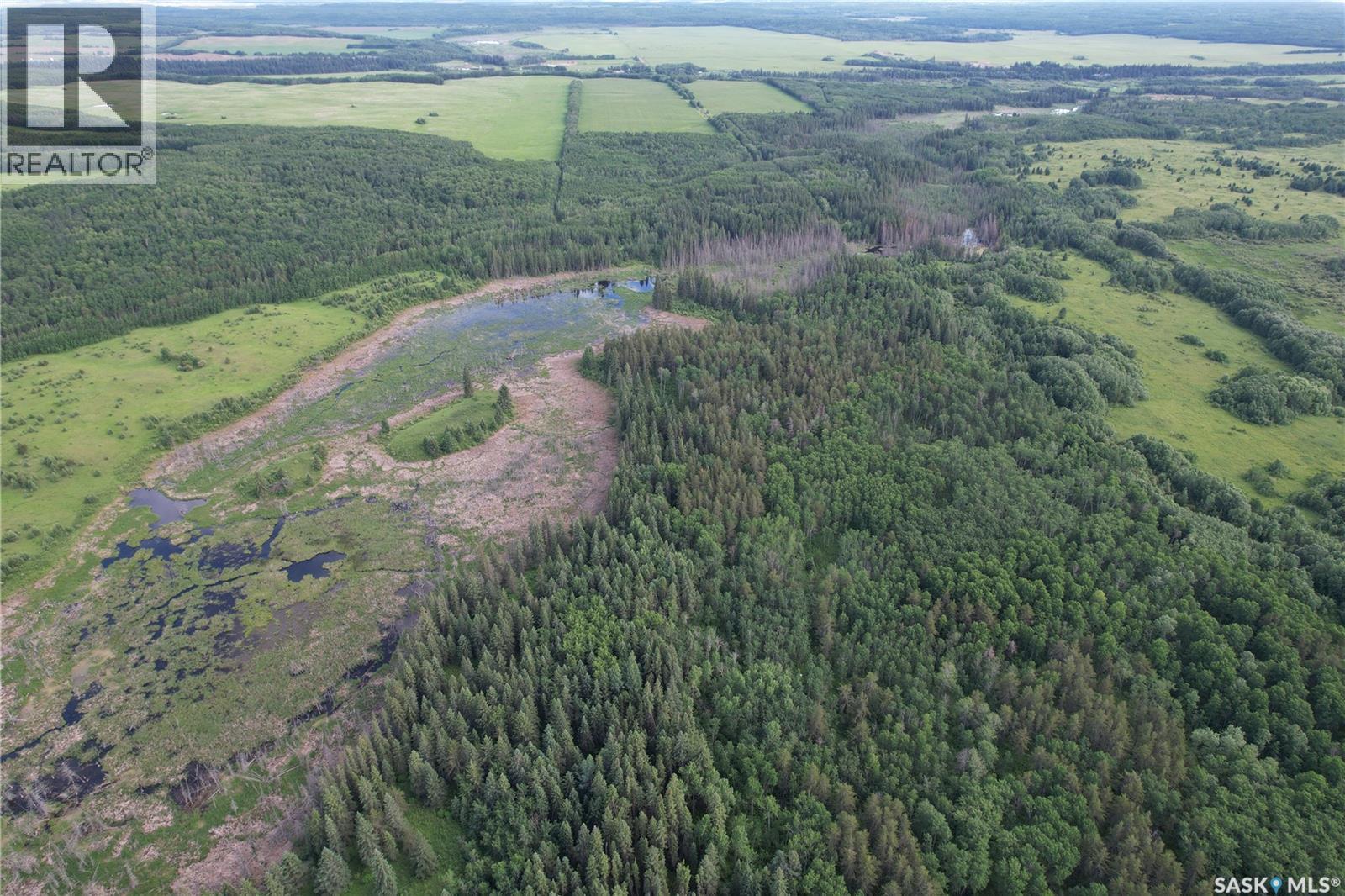 Canwood Rm Land, Canwood Rm No. 494, Saskatchewan S0J 0K0 - Photo 5 - SK040493