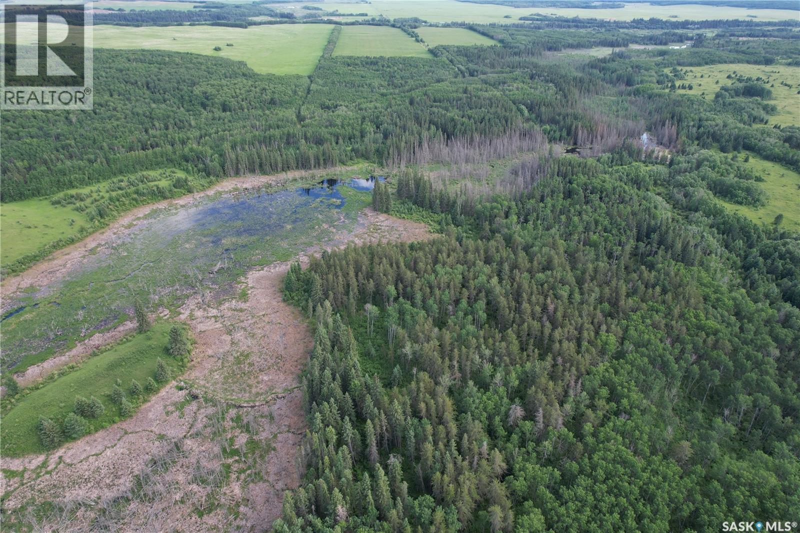 Canwood Rm Land, Canwood Rm No. 494, Saskatchewan S0J 0K0 - Photo 6 - SK040493