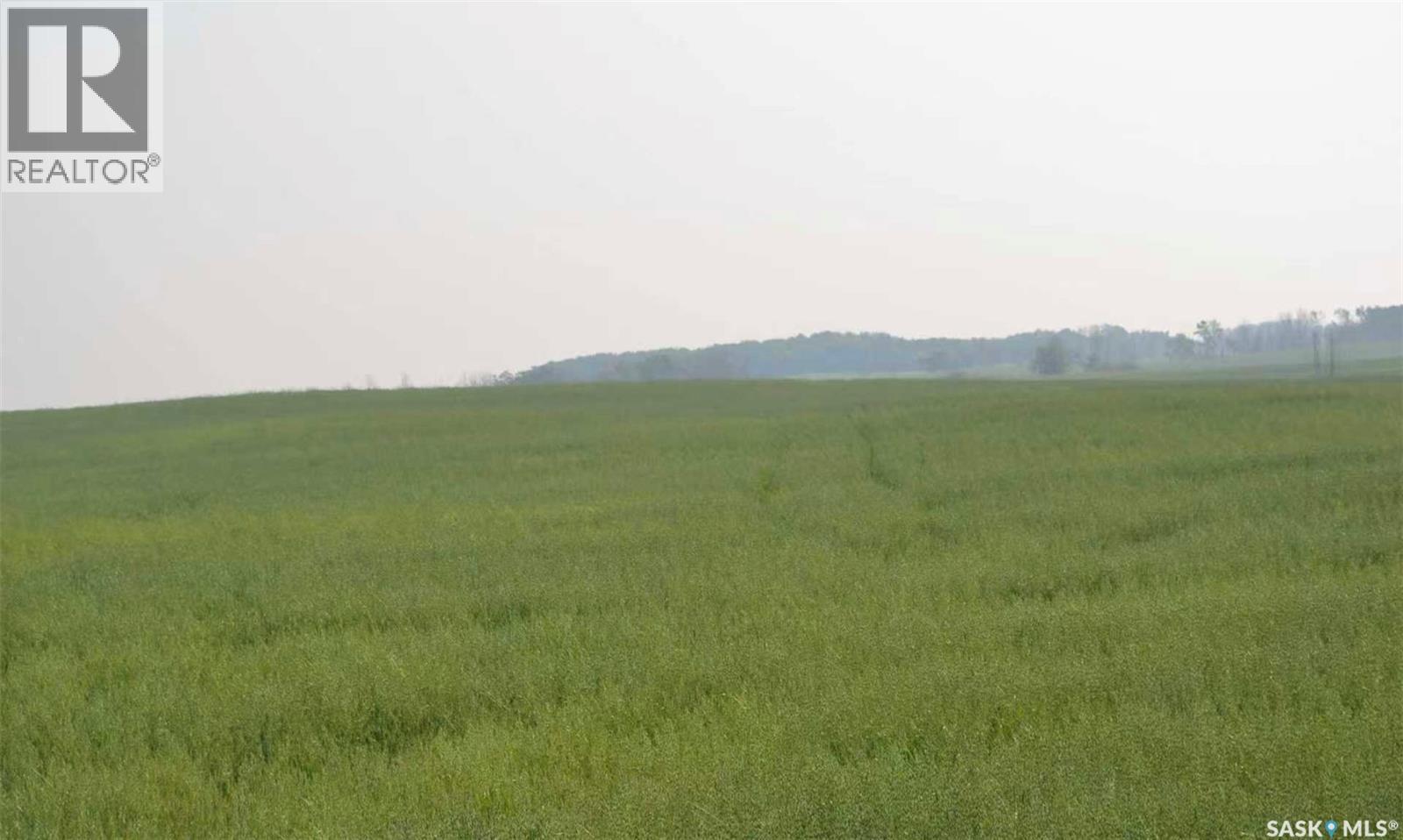 Ituna 5 Quarter Farm, Ituna Bon Accord Rm No. 246, Saskatchewan S0A 1A0 - Photo 10 - SK040662