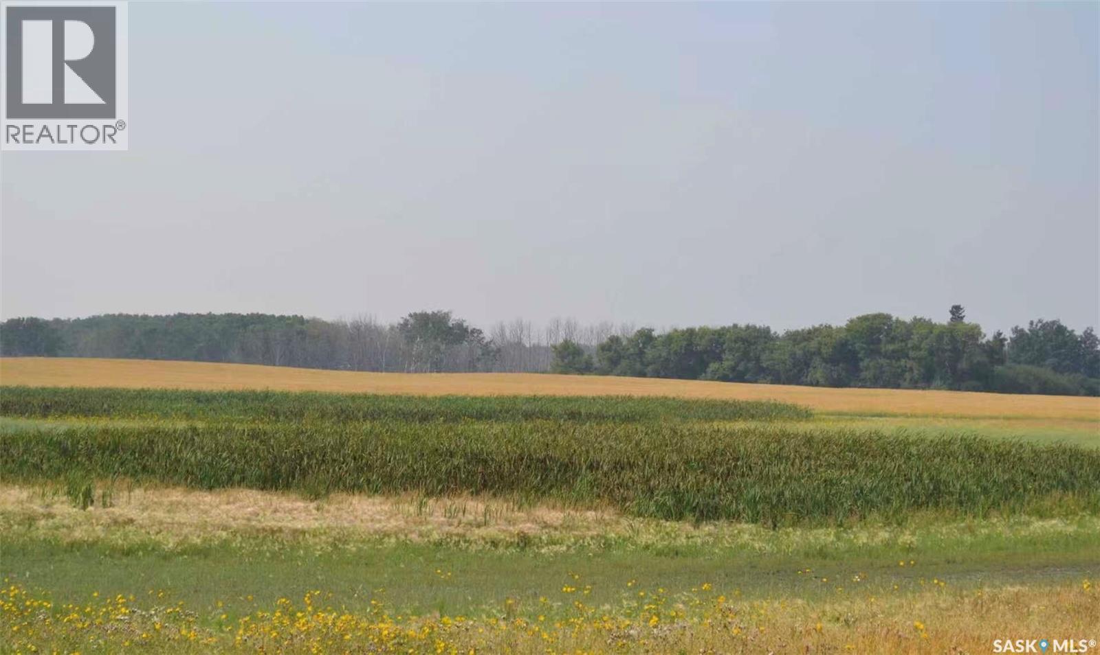 Ituna 5 Quarter Farm, Ituna Bon Accord Rm No. 246, Saskatchewan S0A 1A0 - Photo 14 - SK040662
