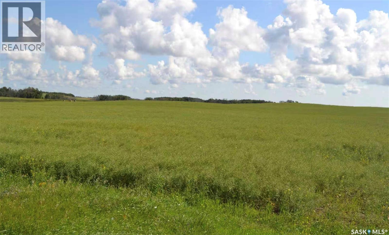 Ituna 5 Quarter Farm, Ituna Bon Accord Rm No. 246, Saskatchewan S0A 1A0 - Photo 2 - SK040662