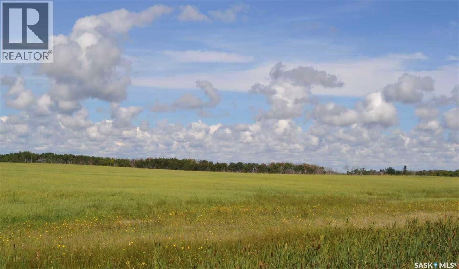 Ituna 5 Quarter Farm, Ituna Bon Accord Rm No. 246, Saskatchewan S0A 1A0 - Photo 4 - SK040662