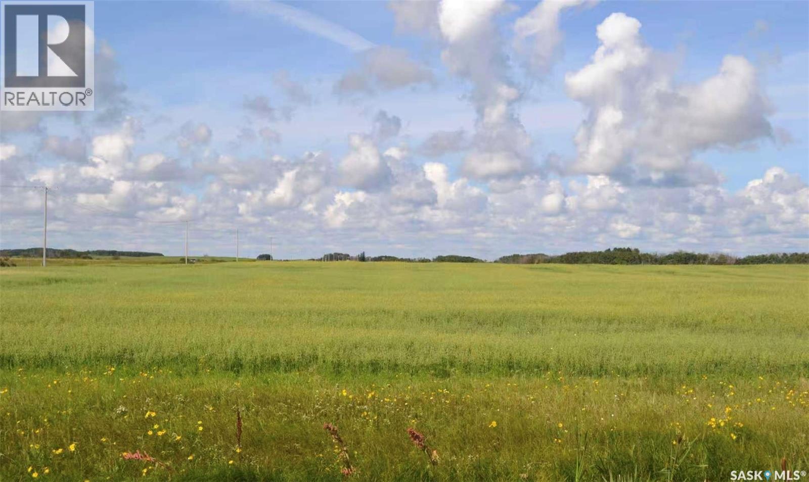 Ituna 5 Quarter Farm, Ituna Bon Accord Rm No. 246, Saskatchewan S0A 1A0 - Photo 5 - SK040662