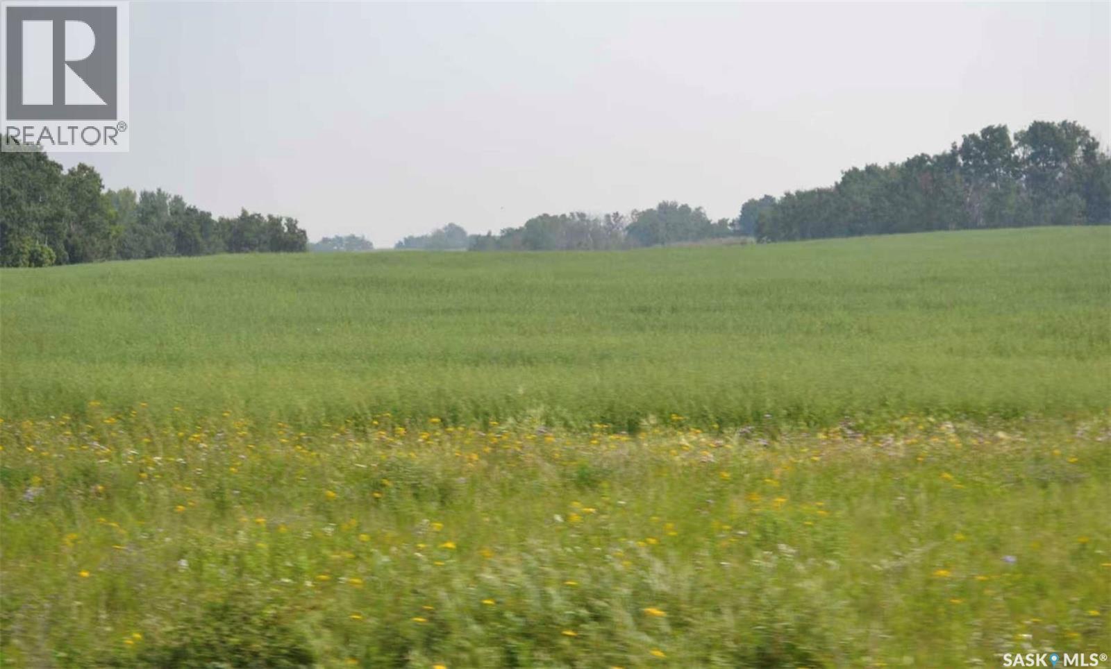 Ituna 5 Quarter Farm, Ituna Bon Accord Rm No. 246, Saskatchewan S0A 1A0 - Photo 7 - SK040662