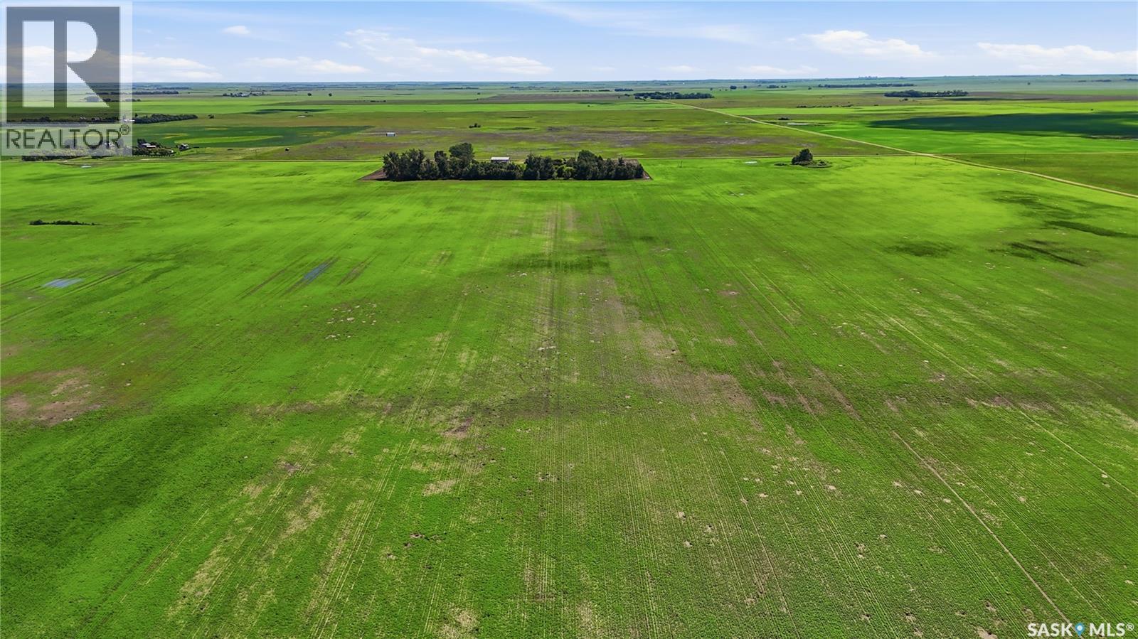 Rm160 Pense - Hein, Pense Rm No. 160, Saskatchewan S0G 3W0 - Photo 2 - SK041011