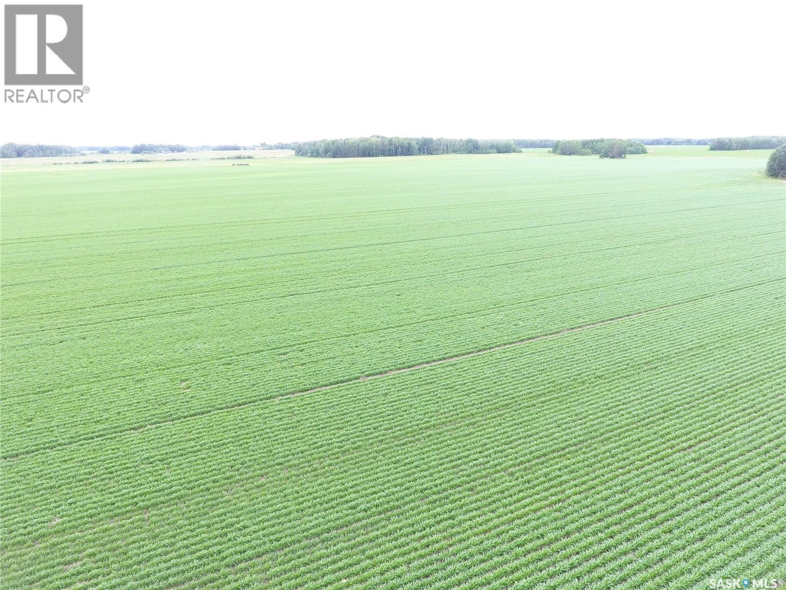 Brick Land, Hudson Bay Rm No. 394, Saskatchewan S0E 0Y0 - Photo 10 - SK041212