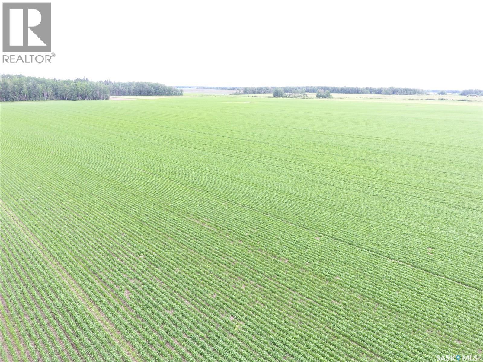Brick Land, Hudson Bay Rm No. 394, Saskatchewan S0E 0Y0 - Photo 11 - SK041212