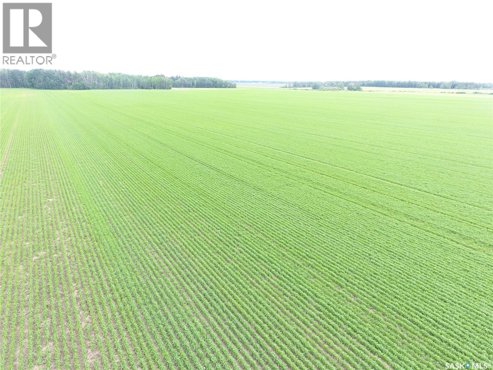 Brick Land, Hudson Bay Rm No. 394, Saskatchewan S0E 0Y0 - Photo 12 - SK041212