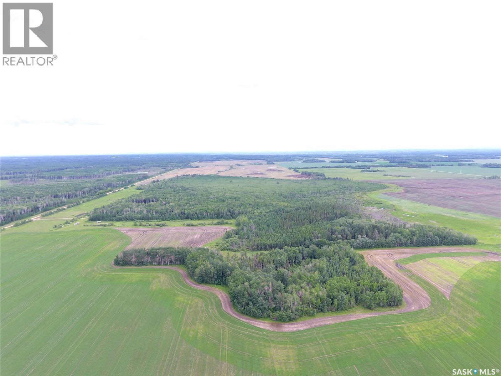 Brick Land, Hudson Bay Rm No. 394, Saskatchewan S0E 0Y0 - Photo 6 - SK041212