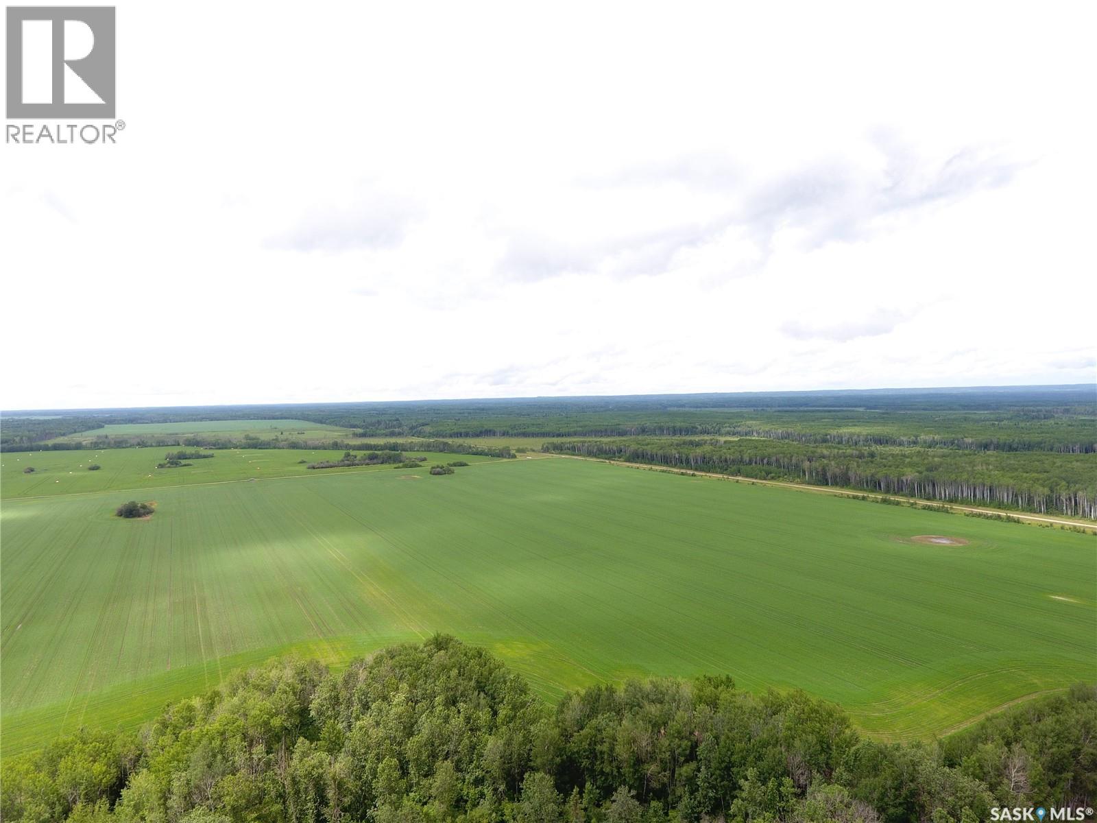 Brick Land, Hudson Bay Rm No. 394, Saskatchewan S0E 0Y0 - Photo 8 - SK041212