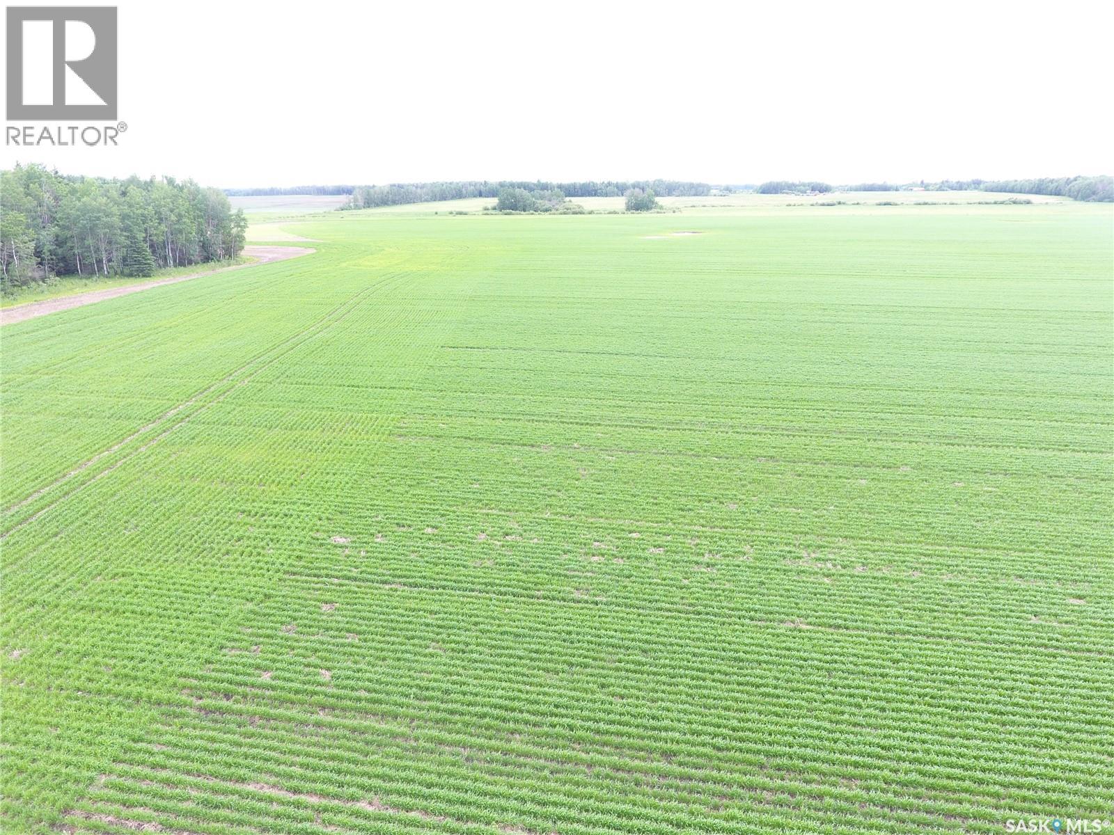 Brick Land, Hudson Bay Rm No. 394, Saskatchewan S0E 0Y0 - Photo 9 - SK041212