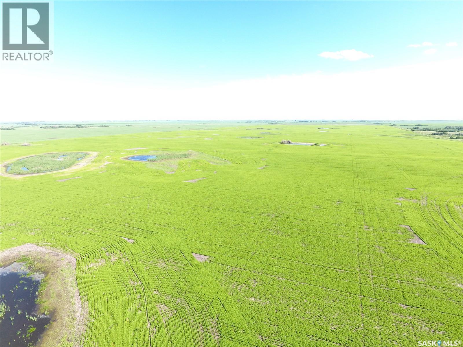 Neels Land, Francis Rm No. 127, Saskatchewan S0G 3S0 - Photo 10 - SK041609