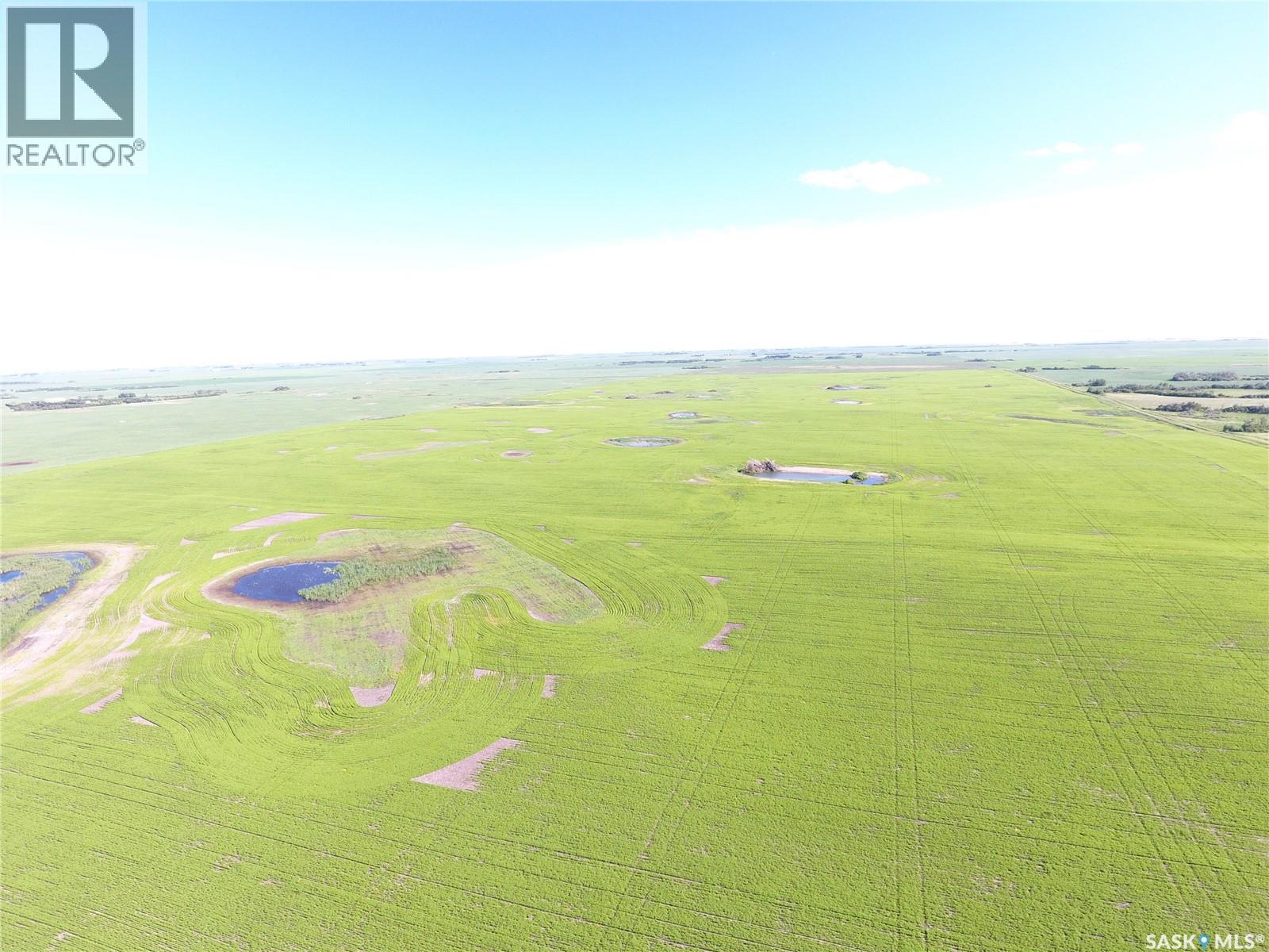 Neels Land, Francis Rm No. 127, Saskatchewan S0G 3S0 - Photo 11 - SK041609