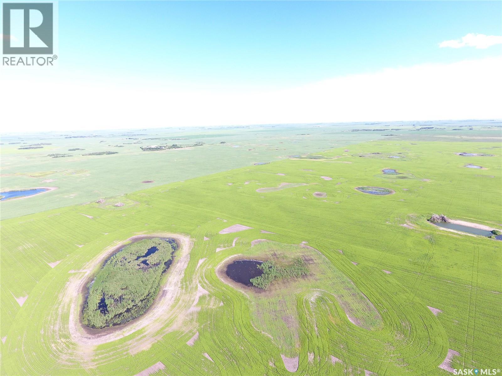 Neels Land, Francis Rm No. 127, Saskatchewan S0G 3S0 - Photo 12 - SK041609