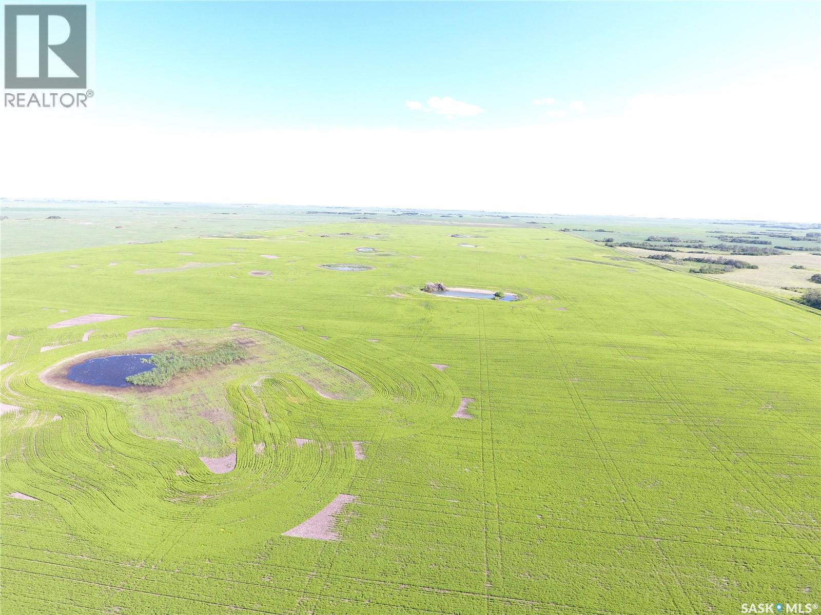 Neels Land, Francis Rm No. 127, Saskatchewan S0G 3S0 - Photo 16 - SK041609