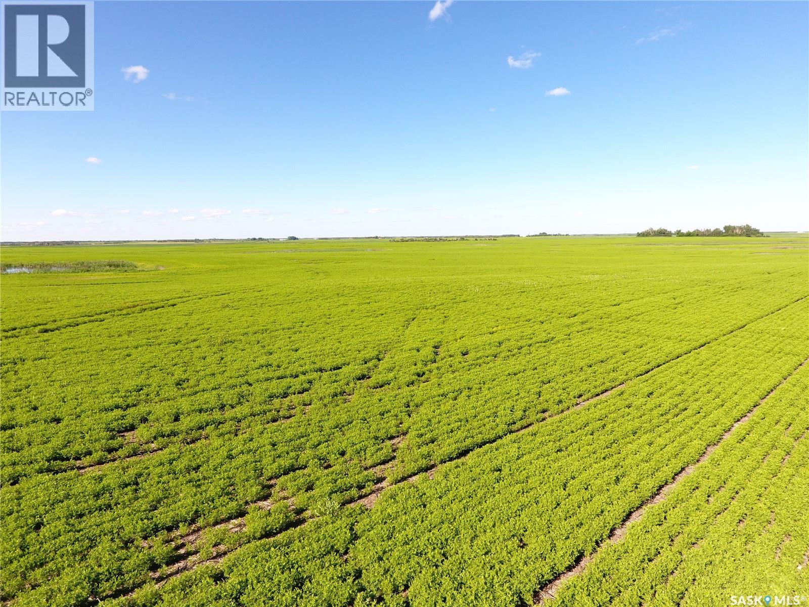 Neels Land, Francis Rm No. 127, Saskatchewan S0G 3S0 - Photo 17 - SK041609