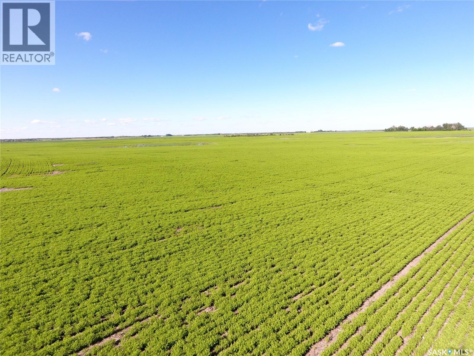 Neels Land, Francis Rm No. 127, Saskatchewan S0G 3S0 - Photo 18 - SK041609