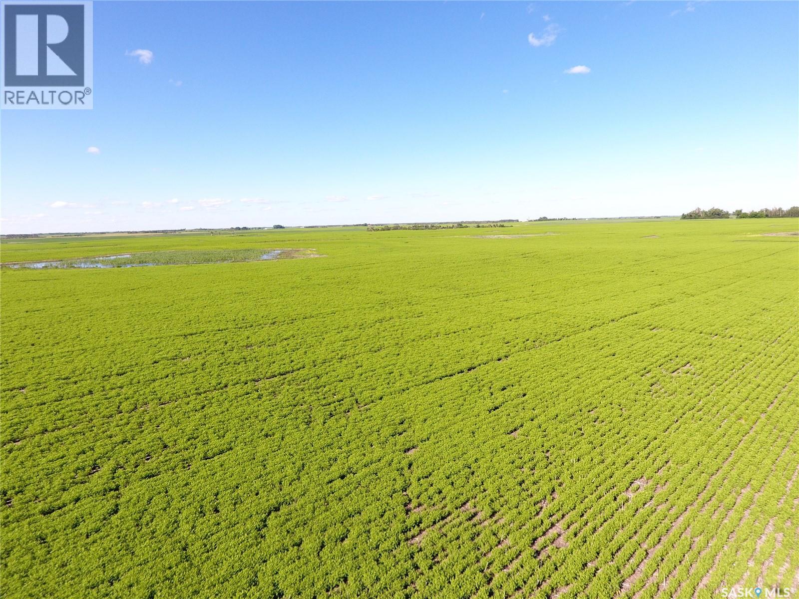 Neels Land, Francis Rm No. 127, Saskatchewan S0G 3S0 - Photo 19 - SK041609