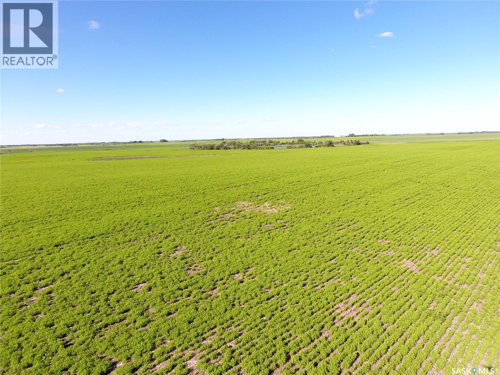 Neels Land, Francis Rm No. 127, Saskatchewan S0G 3S0 - Photo 20 - SK041609