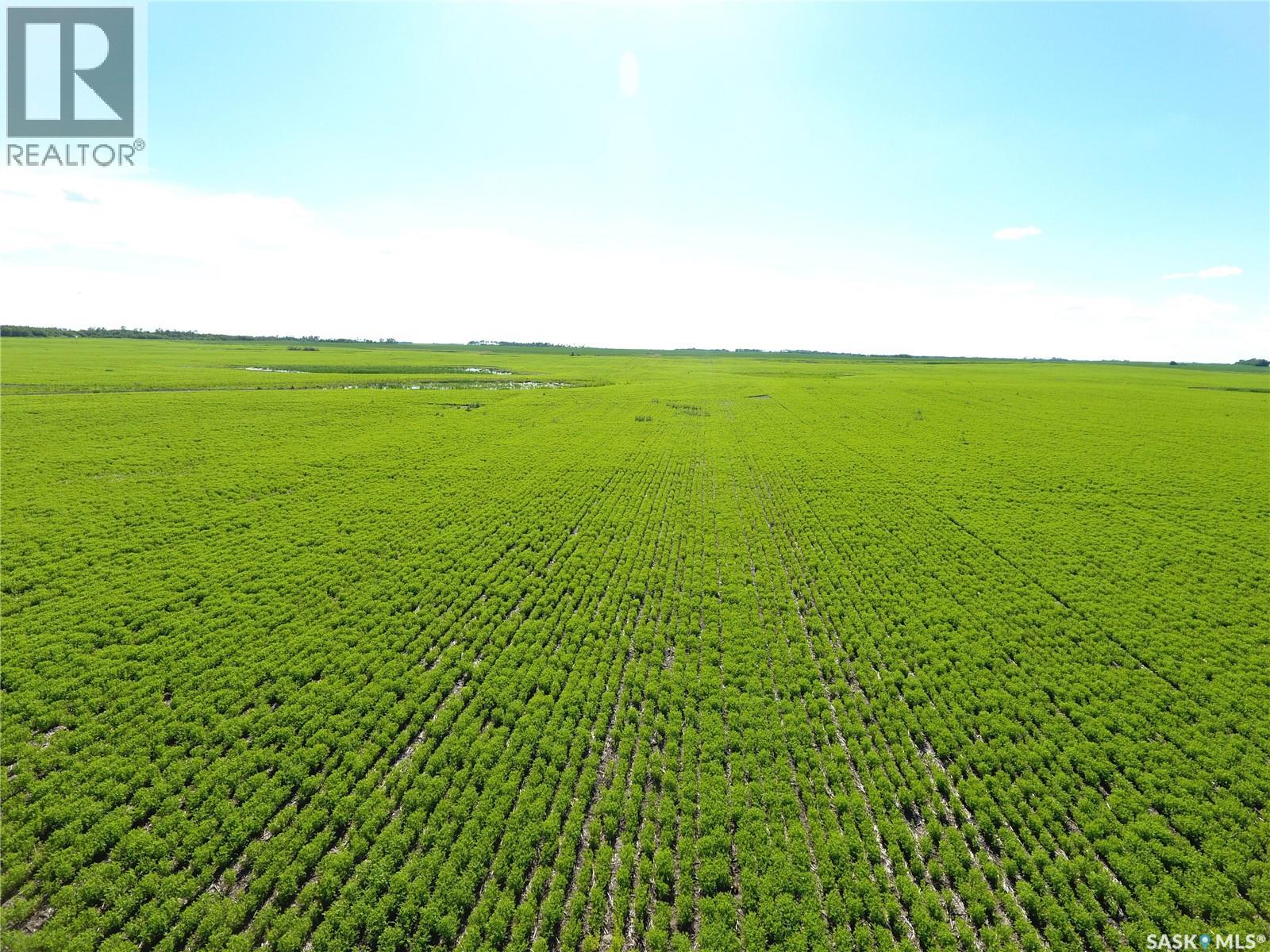 Neels Land, Francis Rm No. 127, Saskatchewan S0G 3S0 - Photo 21 - SK041609