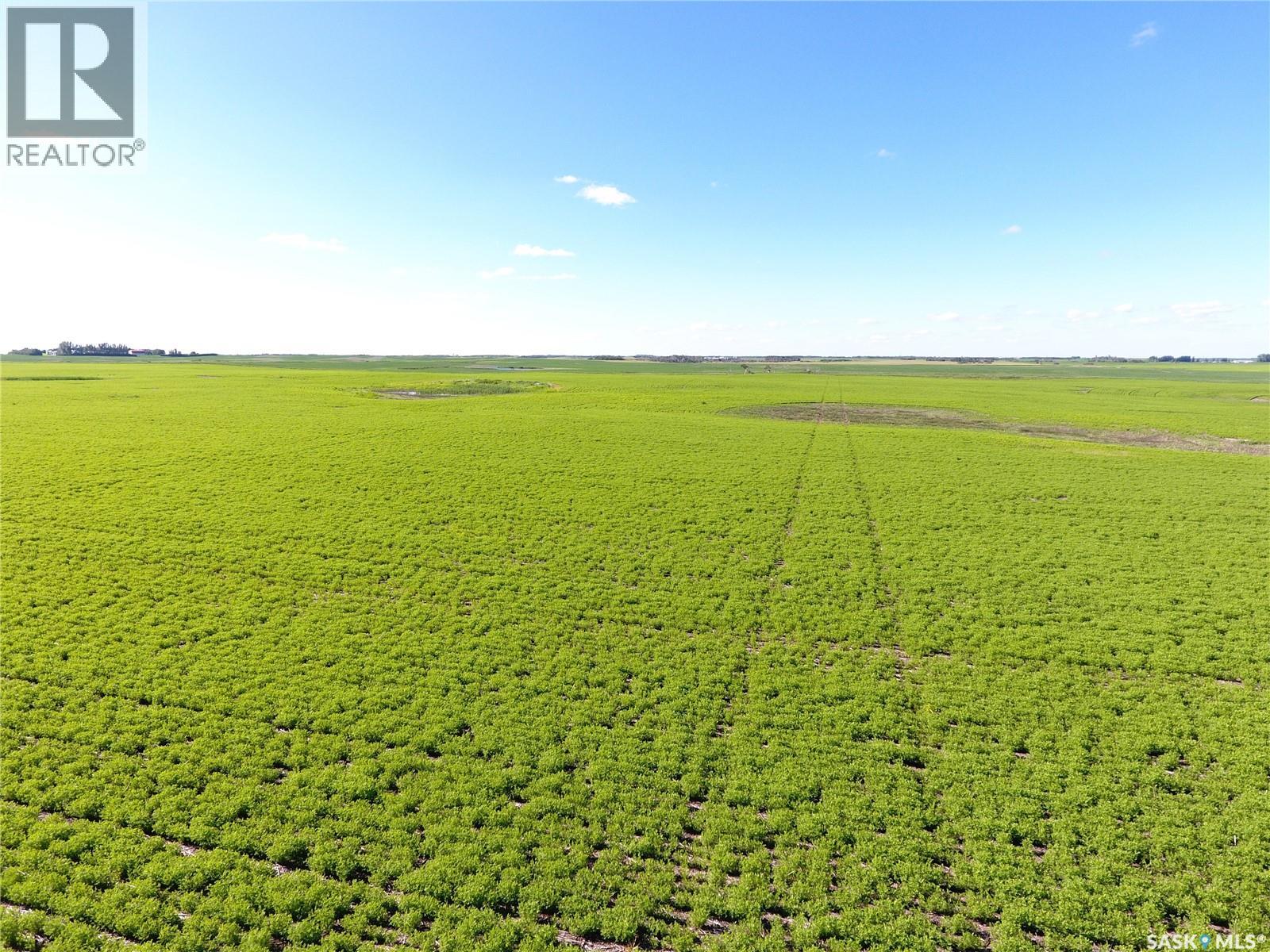 Neels Land, Francis Rm No. 127, Saskatchewan S0G 3S0 - Photo 22 - SK041609