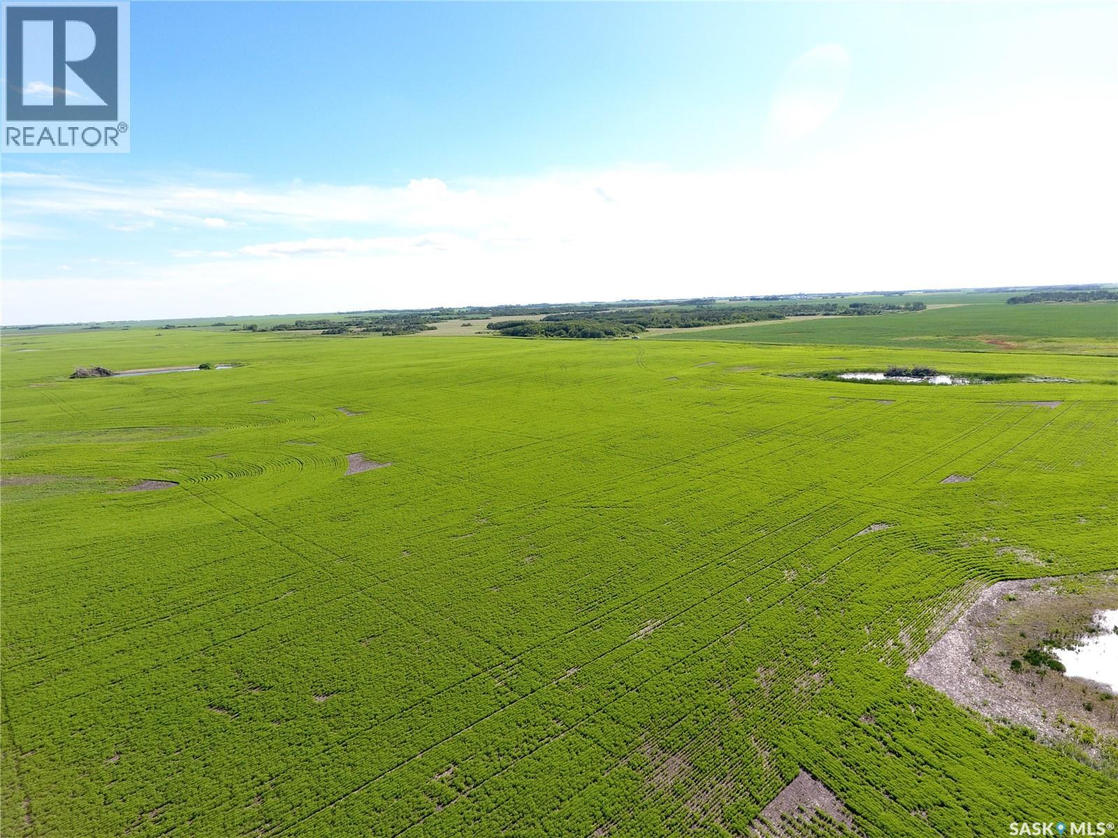 Neels Land, Francis Rm No. 127, Saskatchewan S0G 3S0 - Photo 23 - SK041609